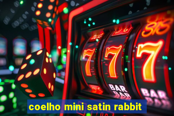 coelho mini satin rabbit